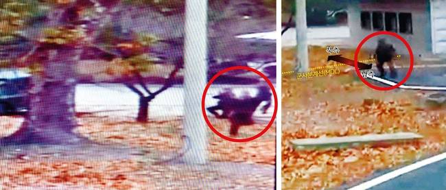 세계일보 23일자 1면 사진. 