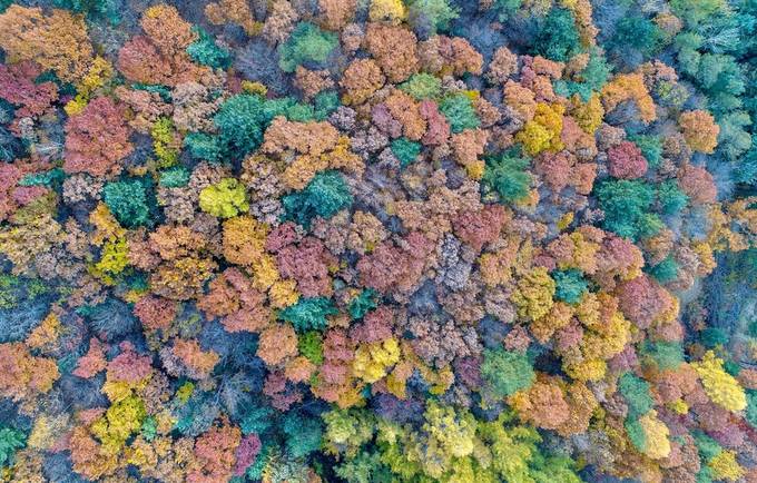 강원도 평창 진부면의 가을풍경(김진수 기자, 한겨레21, 2018.10.29). 