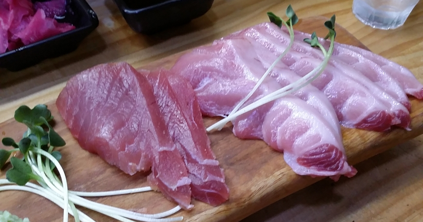 시속 160km, 죽어야 멈추는 물고기를 아시는지