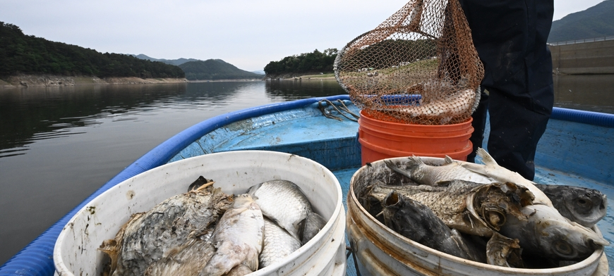 소양호 저층에 고농도 황화수소… 수질 감시체계 부실 추적