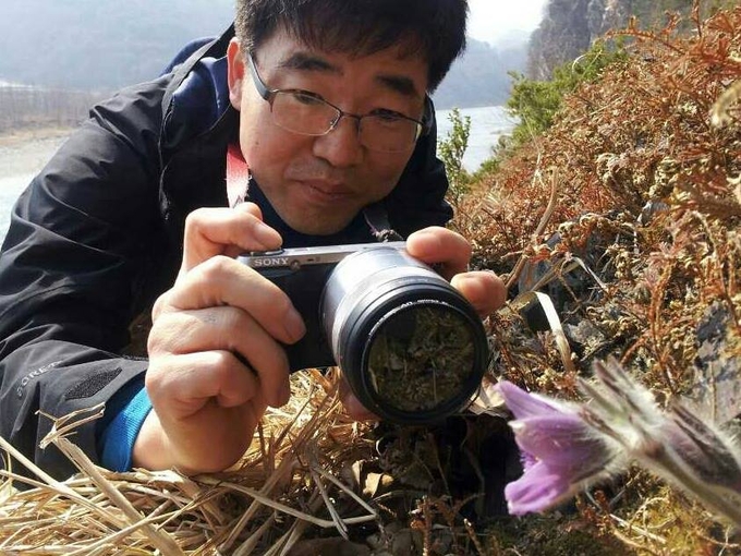 김민철 조선일보 선임기자는 지난 20여년간 야생화에 푹 빠져 전국을 누비며 꽃을 관찰하고 관련 이야기를 칼럼과 소셜미디어 등을 통해 소개하고 있다. 사진은 동강할미꽃을 촬영하고 있는 김 기자 