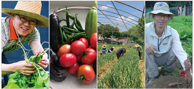 농사에 빠진 기자들은 스트레스를 해소하고 건강을 돌보는 데 농사가 제격이라고 입을 모아 말한다. 자연과 가까워지는 데다 자녀 교육에도 좋다는 게 공통된 의견이다. 사진은 밭에서 농작물을 수확하고 있는 안충기 중앙일보 기자(맨 왼쪽)와 김종철 한겨레신문 기자(맨 오른쪽). 두번째 사진은 문소영 서울신문 기자가 수확한 농작물. 세번째 사진은 정남구 한겨레 기자가 마을 사람들과 함께 농사를 짓는 모습. 