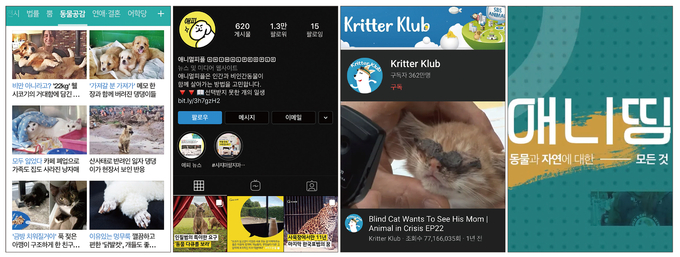 동물을 주요 소재로 삼은 언론사 콘텐츠, 버티컬 매체의 사례. (왼쪽부터) 한국일보-네이버 조인트벤처 ‘동그람이’가 운영하는 네이버 ‘동물공감’ 판, 한겨레신문 ‘애니멀피플’ 인스타그램 페이지, SBS ‘TV동물농장’의 해외시장을 겨냥한 유튜브 채널 ‘Kritter Klub’, 중앙일보 사회기획팀의 유튜브 콘텐츠 ‘애니띵’ 캡처 등. 