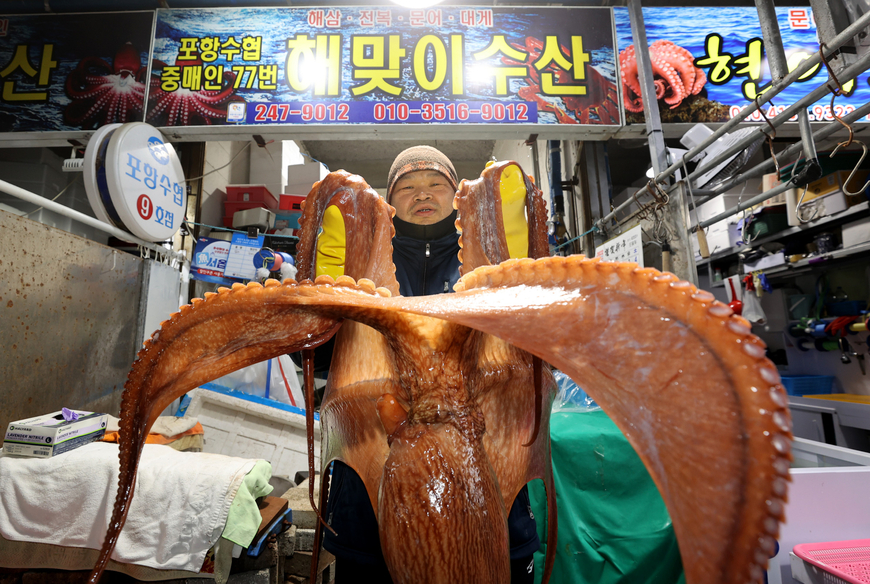 "그게 당겨질 때면 가끔 두렵다"… 동쪽 바다 대문어
