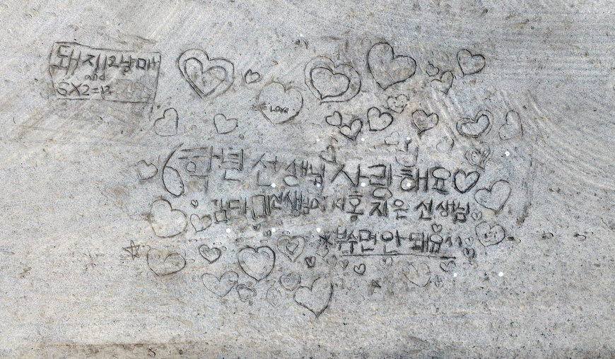 [뷰파인더 너머] (208) 선생님 사랑해요