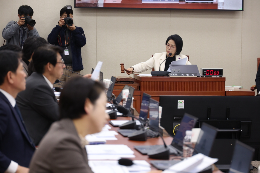 징벌적 손배를 징벌적 손배라 하면 안된다는 과방위원장